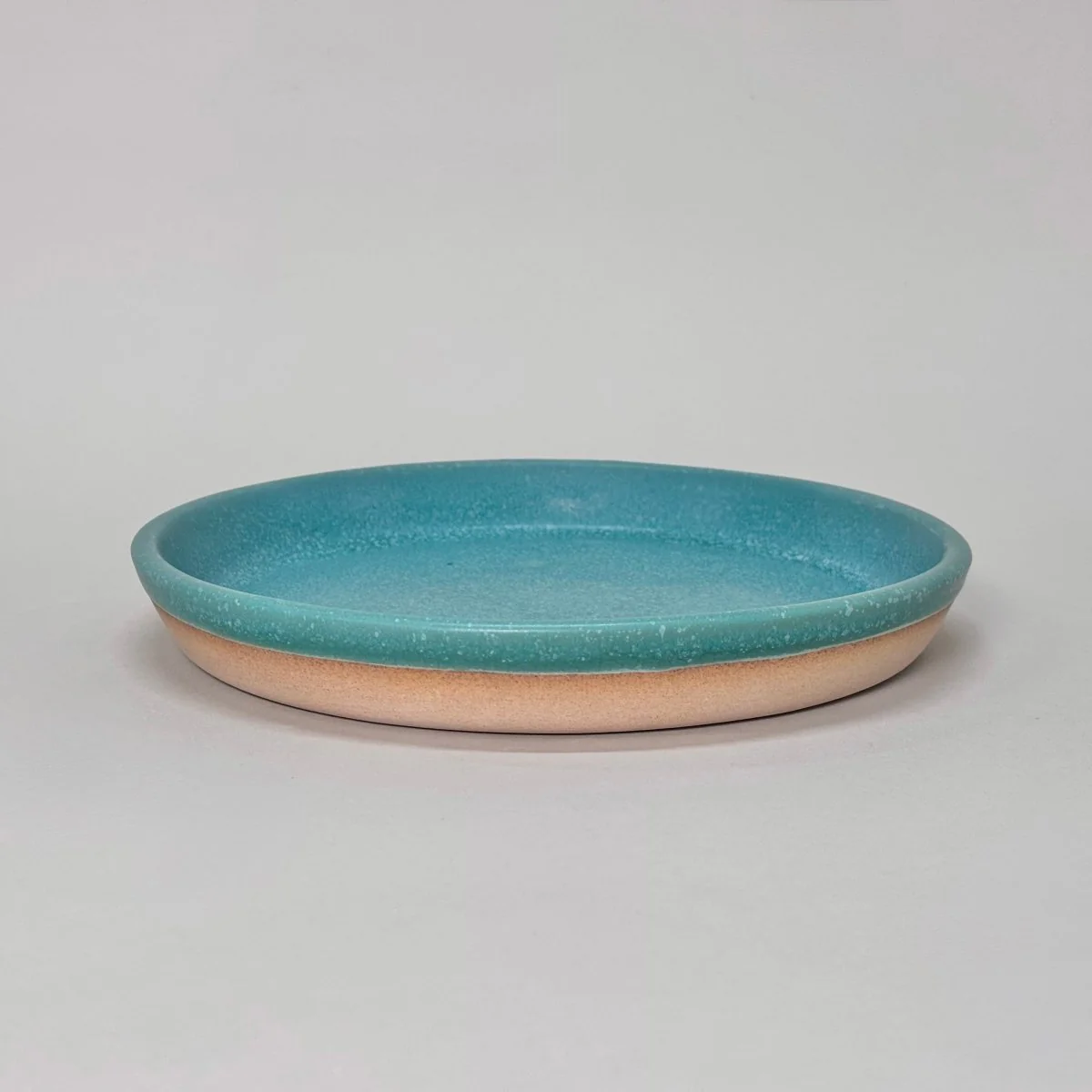 Dinner Stoneware 9-inch Plate - Image 8
