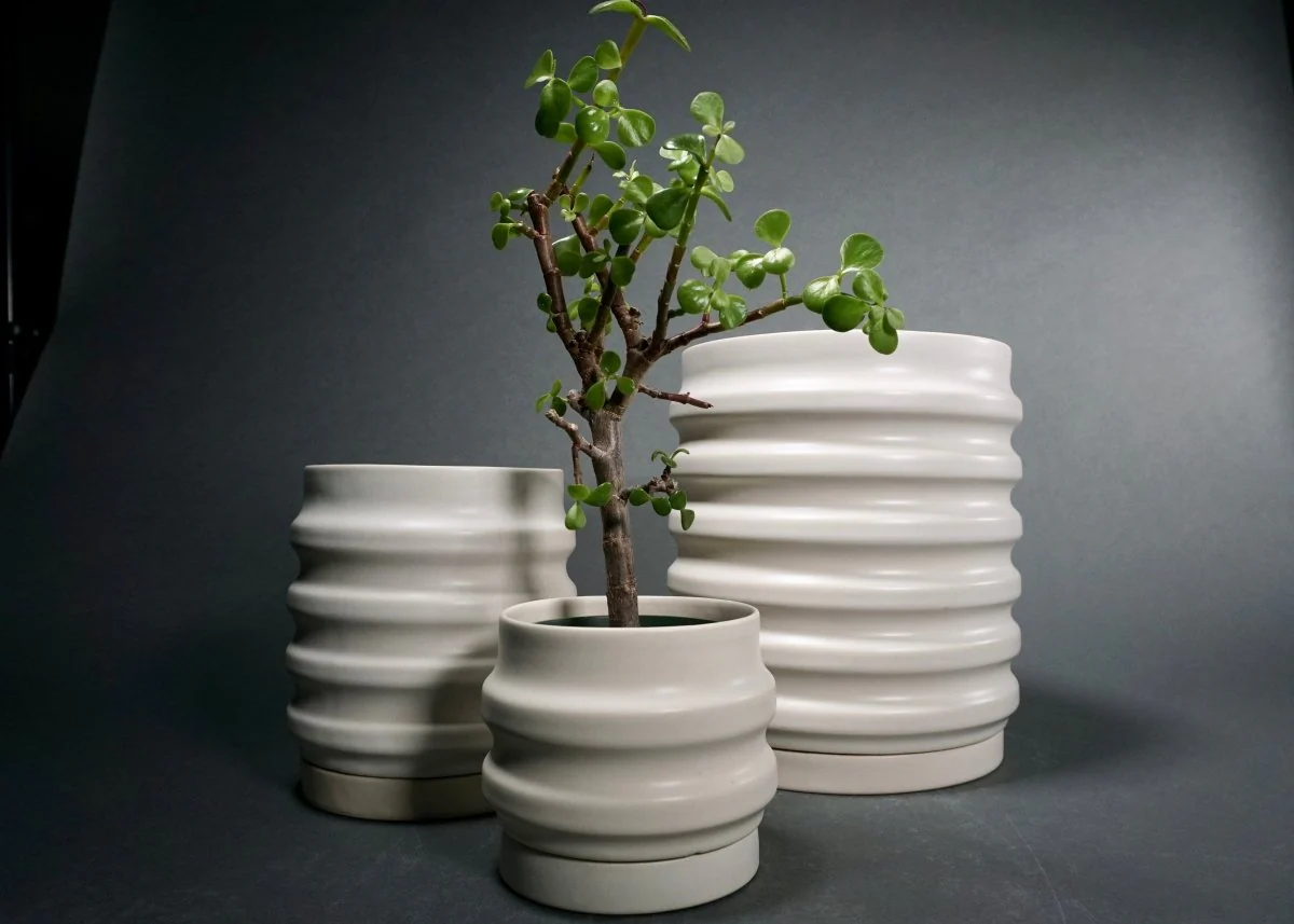 Ceramic Planters | Handcrafted Primera Planters Collection - Image 6